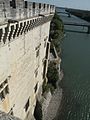 Western facade and the Rhône River