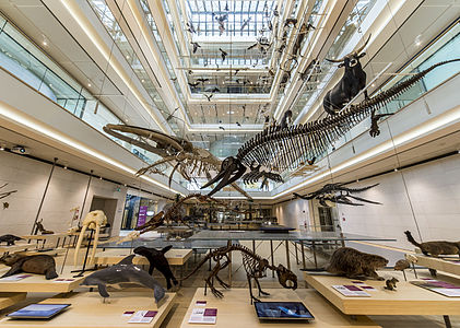 Interior of MUSE - Science Museum in Trento.