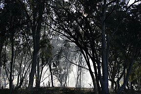 Swifts Creek, Victoria