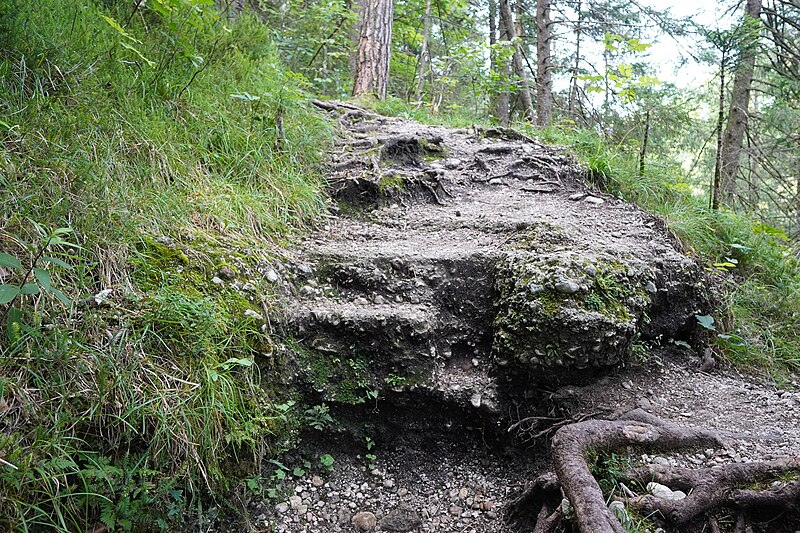 File:Steyrschlucht 38.jpg