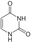 Nova imaxe SVG