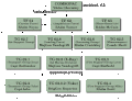 Allied Task Organization and Command Structure, Guadalcanal-Tulagi Assaults, August 1942.