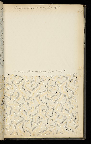 File:Sample Book (France), 1890 (CH 18458471-62).jpg