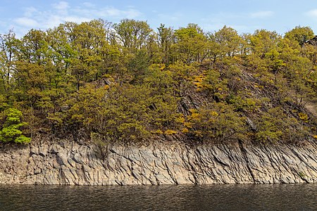 Shore area Rursee