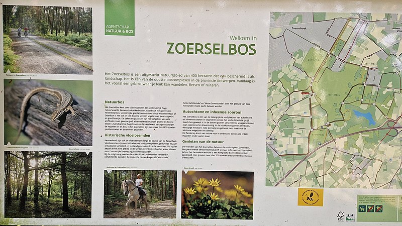 File:Zoerselbos ANB 2.jpg