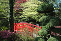 Jardin botanique de Haute-Bretagne