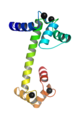 钙调素结构，含4个钙离子 Calmodulin structure with four calcium ions