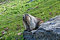 Glacier National Park