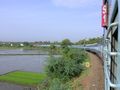 Paddy fields as seen from a train in Kuttanad basin