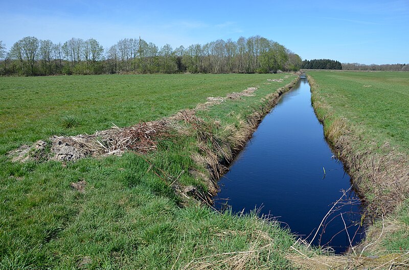 File:Landschaftsschutzgebiet Apeler See und Umland.jpg