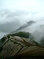 Longsheng rice terraces in Guilin, Guangxi Province