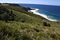 Royal National Park