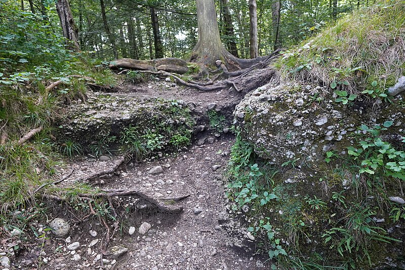 File:Steyrschlucht 34.jpg