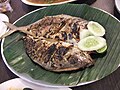 :Ikan bakar ‎