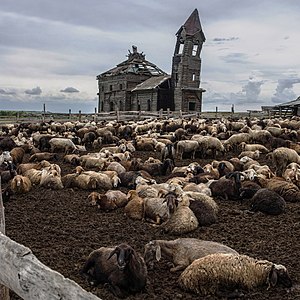 Indifference: Ruined Church of Michael the Archangel in Novaya Osinovka, Saratov Oblast, by Neakshadrin