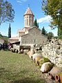 Outres à l'arrière du monastère d'Ikalto