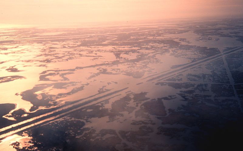 File:Viewing man-made canals in the marsh in Louisiana, Barataria Basin.jpg