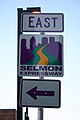 File:FL618 - Selmon Expressway Purple Sign (29636630185).jpg