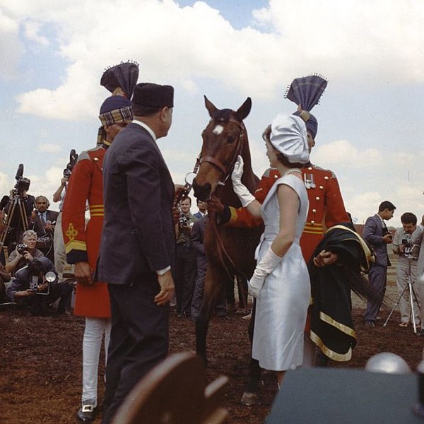 File:Pakistan President Mohammed Ayub Khan presents Mrs. Kennedy with a bay gelding as a gift, March 22, 1962 (cropped).jpg