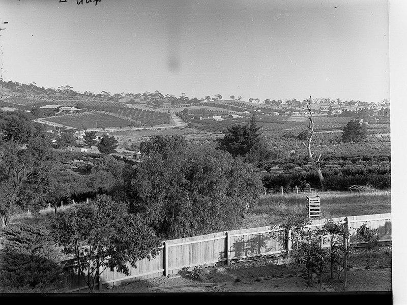 File:Angaston View from Vineyards(GN07780).jpg