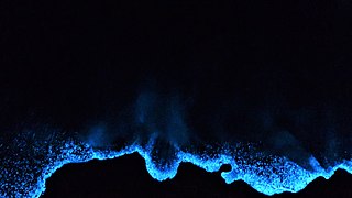 bio-luminescence