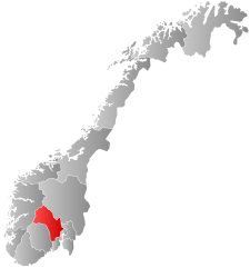 Buskerud County