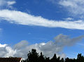 Cirrus castellanus at the upper half of the picture