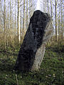 image=http://commons.wikimedia.org/wiki/File:Menhir_Oisy.jpg