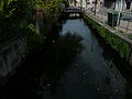 image=File:Canal Pàmies.JPG