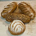 Rye, multi-grain and whole wheat bread