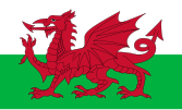 Welsh people (details)