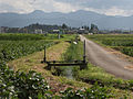 田園地帯の用水路と引水用の水門 Waterway for irrigation. Sluice to dam waterway, and overflow water to field.