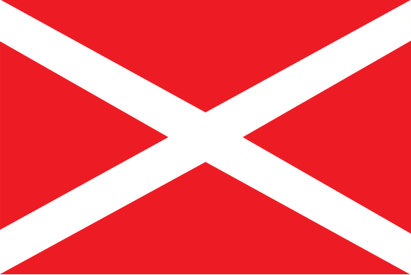 File:Flag Nashi.svg