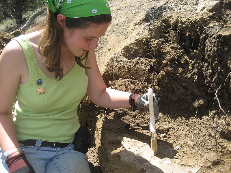 File:Cleaning fossils (24964735833).jpg