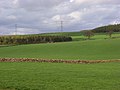 pasture and plantations