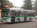 Transperth Mercedes-Benz O405NH diesel Volgren (11.2m)