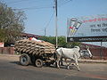 Ox wagon in India