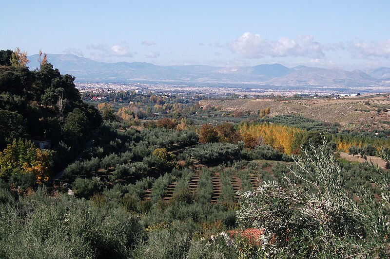 File:Otoño en Dílar.JPG