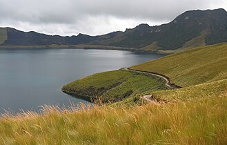 Typical páramo vegetation around Lake Caricocha, Mojanda, Ecuador.