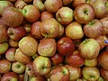 (A bunch of Royal Gala Apples from Chile)