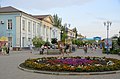 flowerbeds in downtown