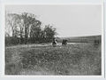 English: Horse-riding at Hughesovka, c.1890s