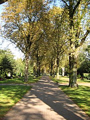 Hauptfriedhof Krefeld, Neuer Teil, Kastanienallee mit Blick auf ein Hochkreuz