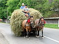 Hay wagon in Romania