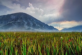 Savana Bromo