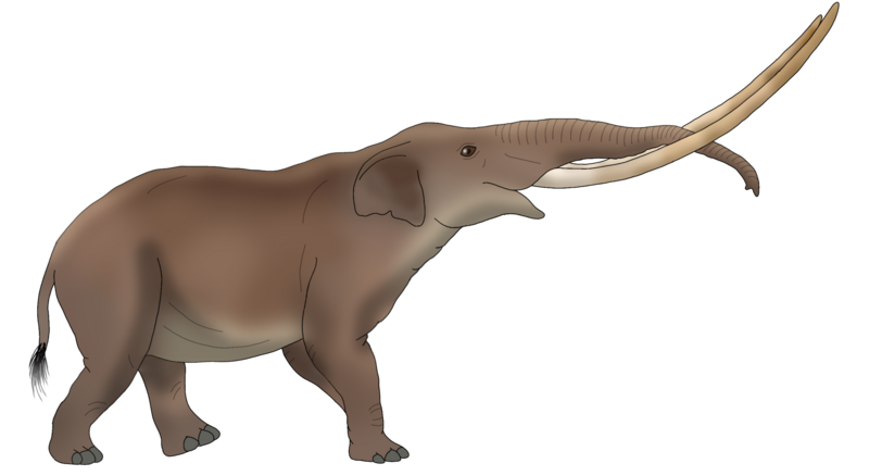 File:Borson's mastodon.png