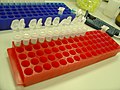 Eppendorf tube racks and RNA extraction minicolumns