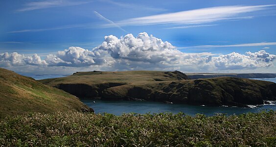 Skomer Island, Pembrokeshire, S.Wales, UK