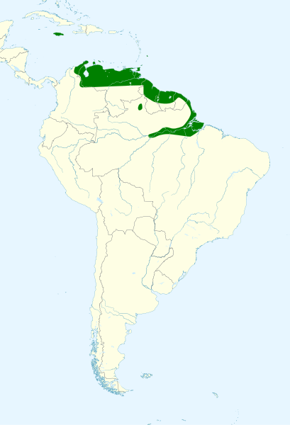 File:Forpus passerinus map.svg