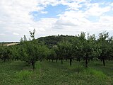 Čeština: Slaný. Okres Kladno, Česká republika.